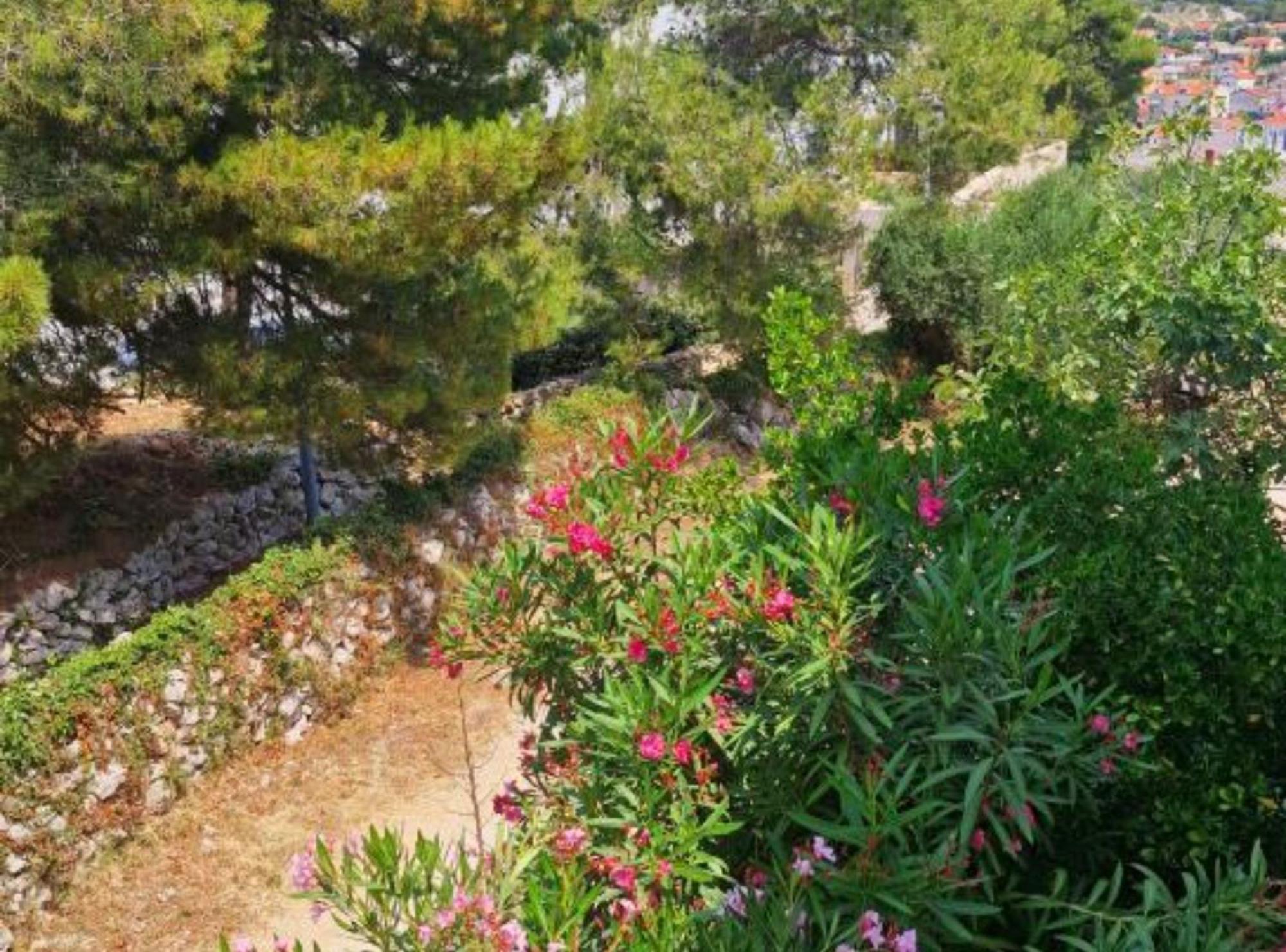 Pansion Belvedere Mali Lošinj Buitenkant foto